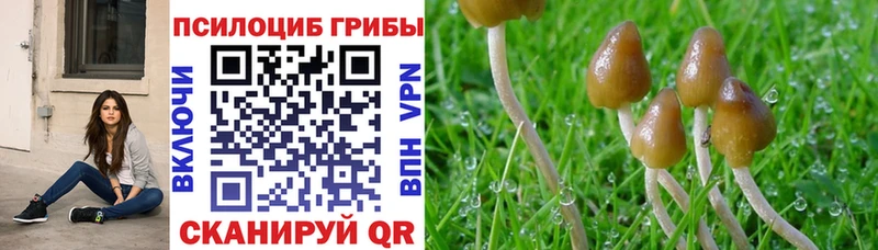 Галлюциногенные грибы Psilocybe  мориарти официальный сайт  Урюпинск  что такое наркотик 